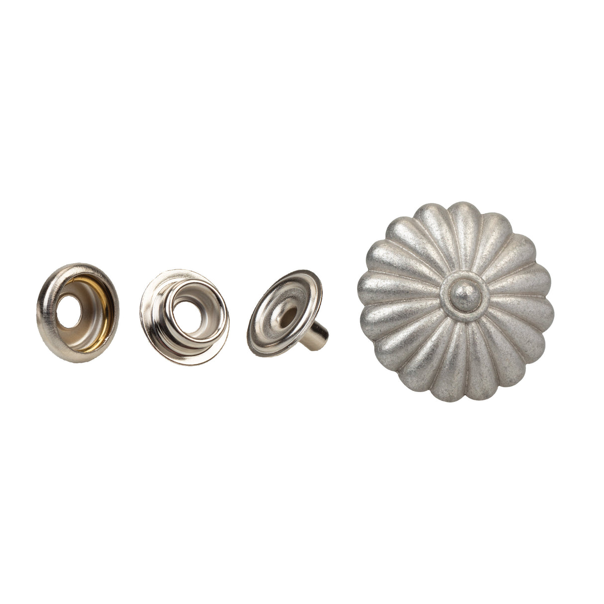 Decorative Line 24 Snap