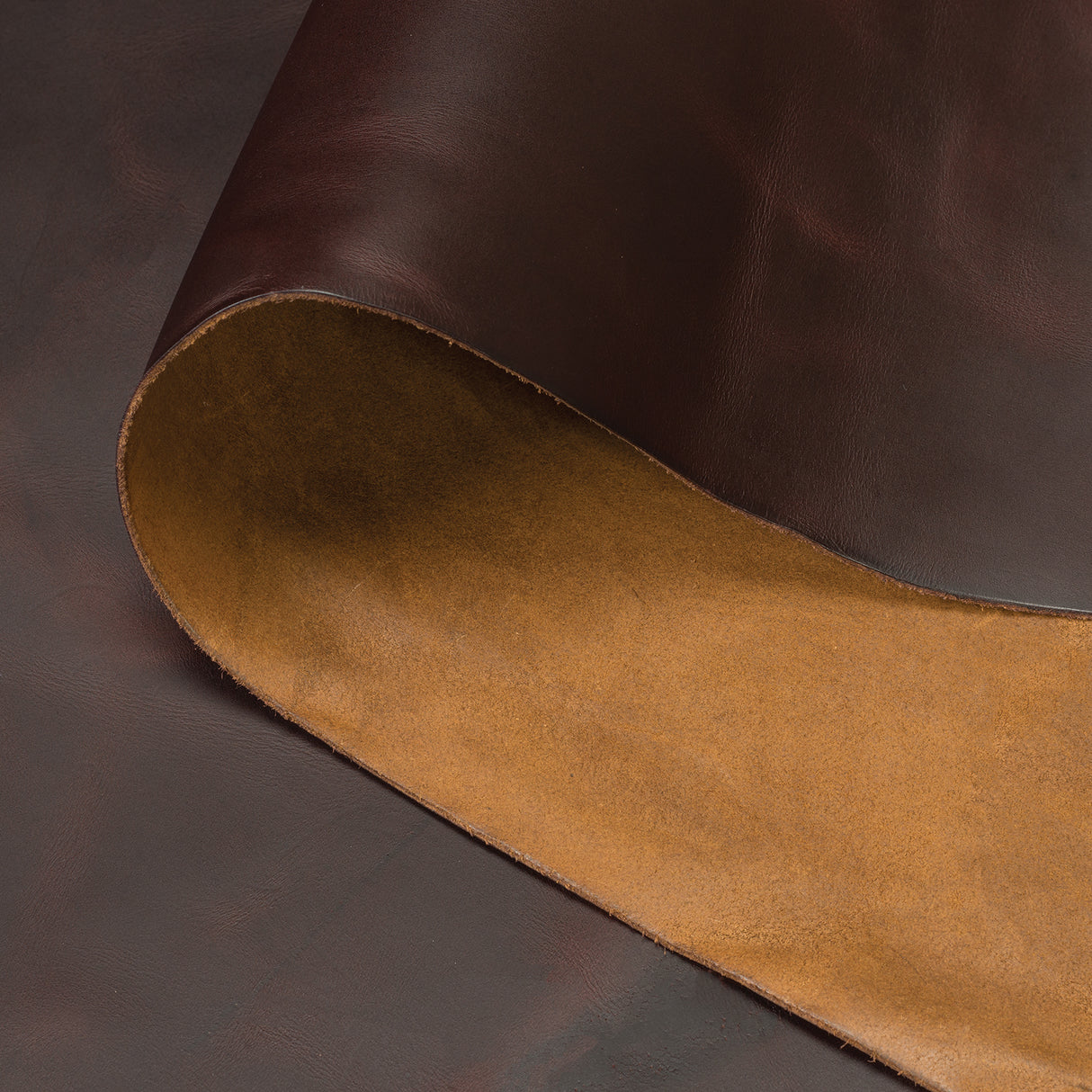 Jasper Pull Up Leather, Coffee Bean, Back