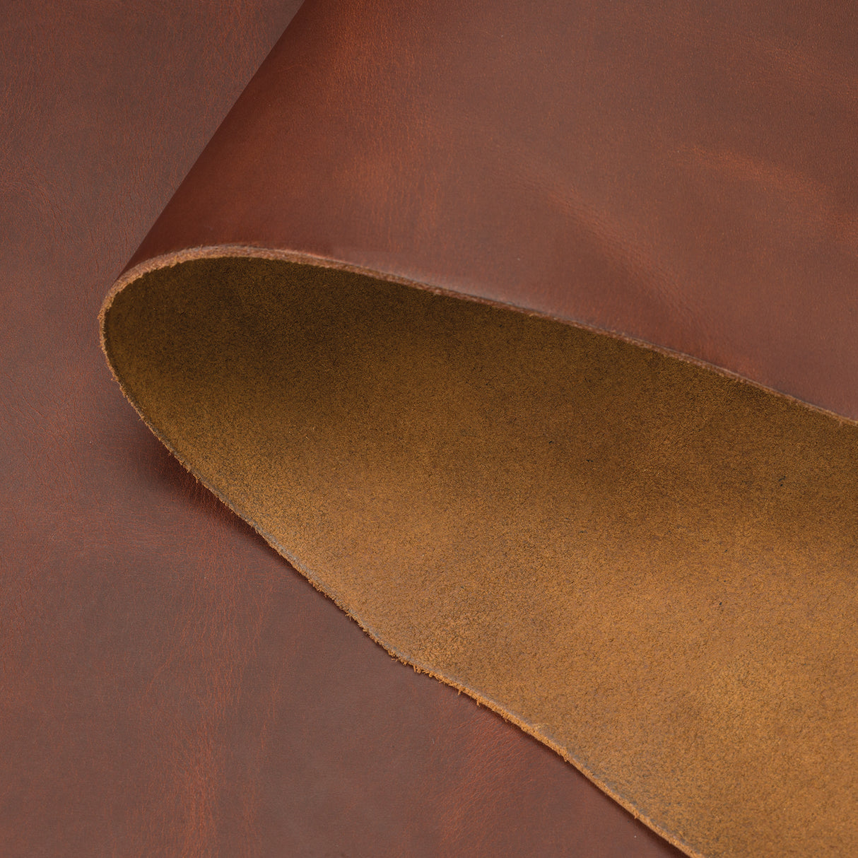 Jasper Pull Up Leather, Redwood, Back