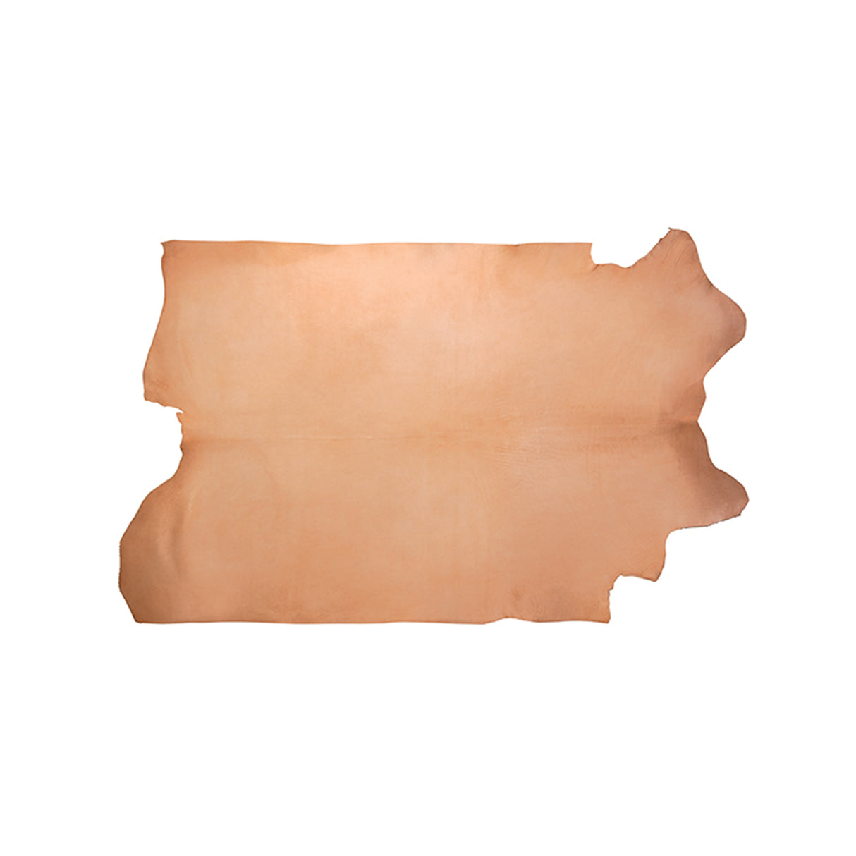 Veg Tanned Double Back with Pasted Back, 8/9 oz.