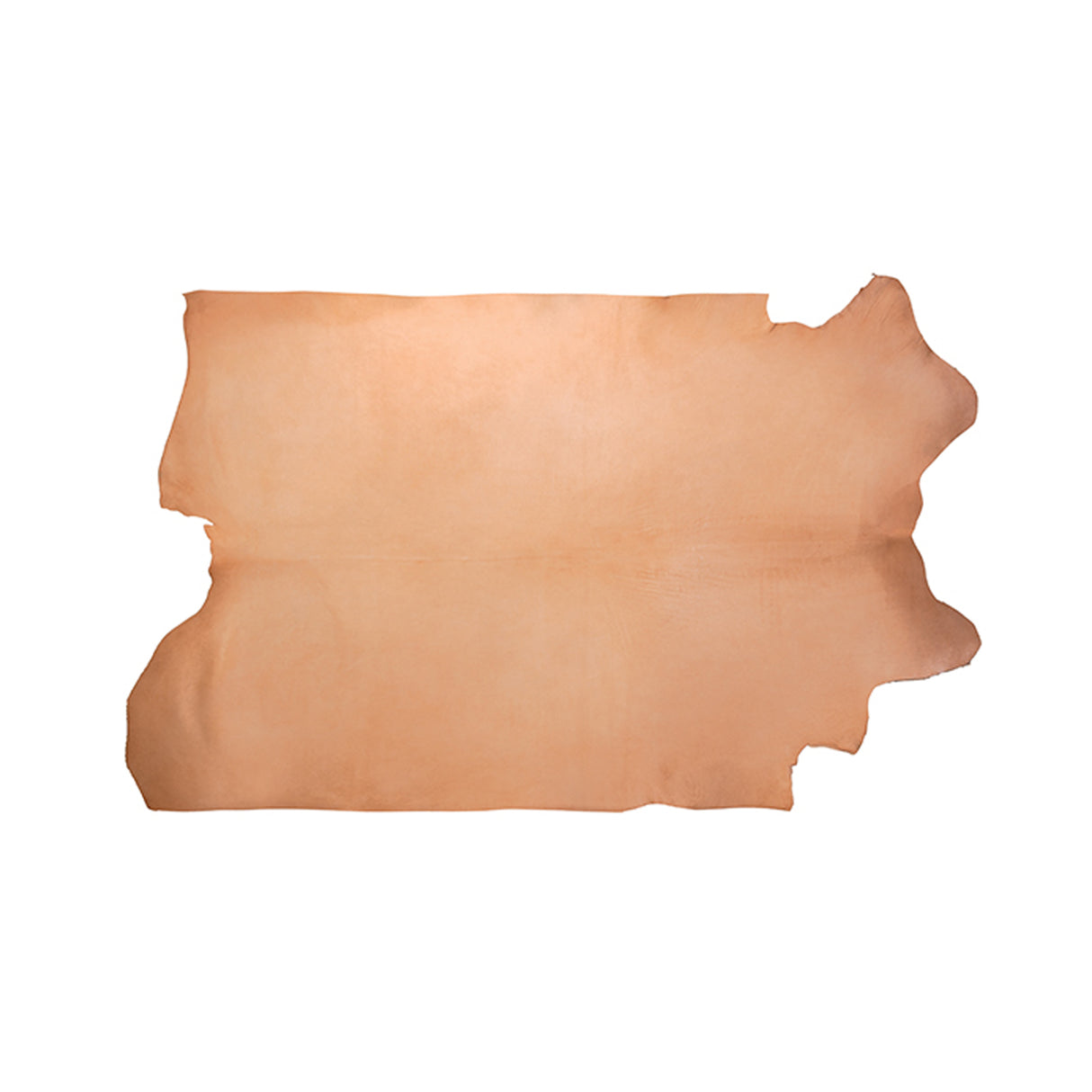 Veg Tanned Double Back with Pasted Back, 9/10 oz