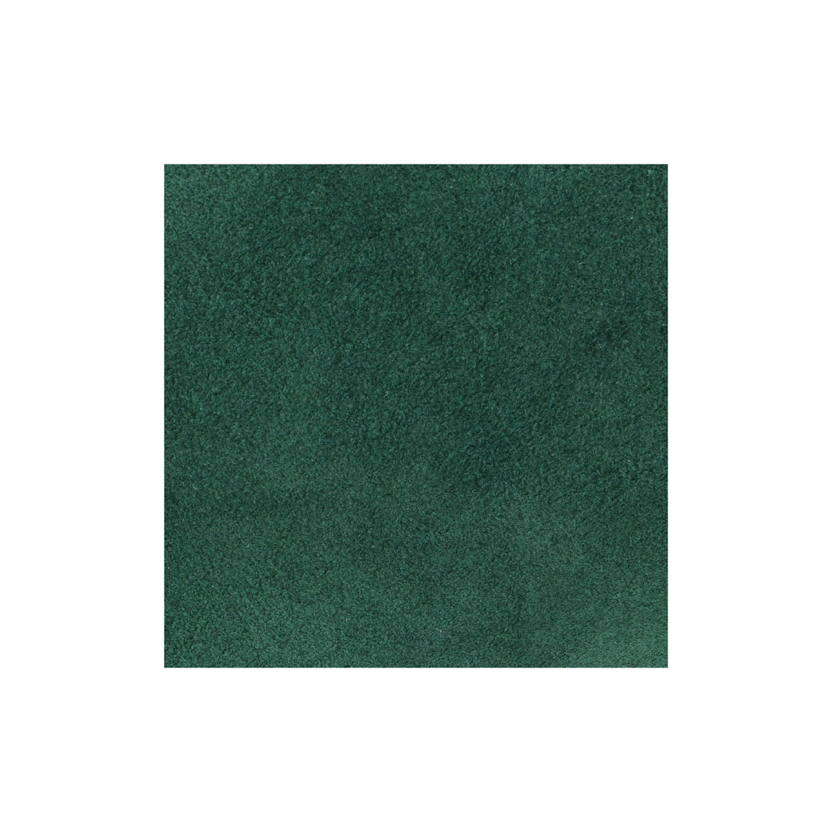 Sample, Cowhide Suede Leather