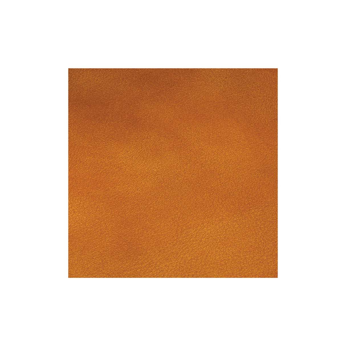 Sample, Elkrun Chap Leather, Honey, 3-4 oz.