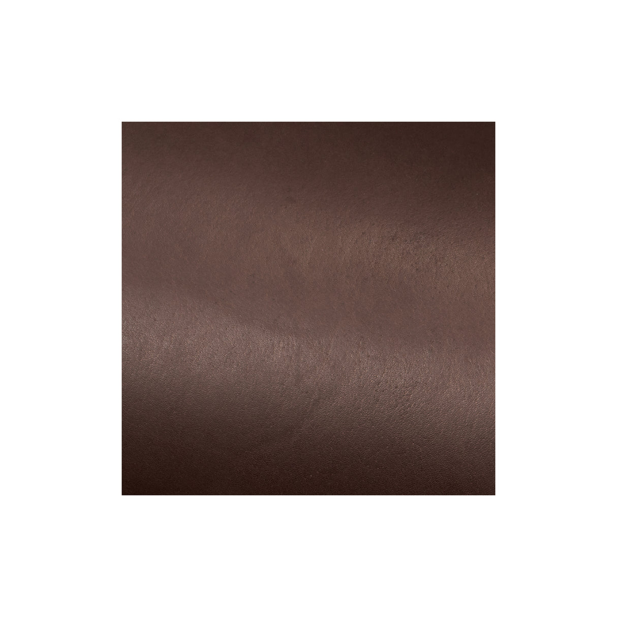 Sample, Kangaroo Leather