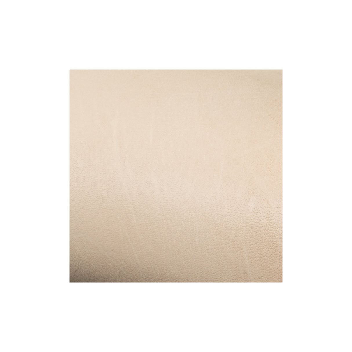 Sample, Kangaroo Leather