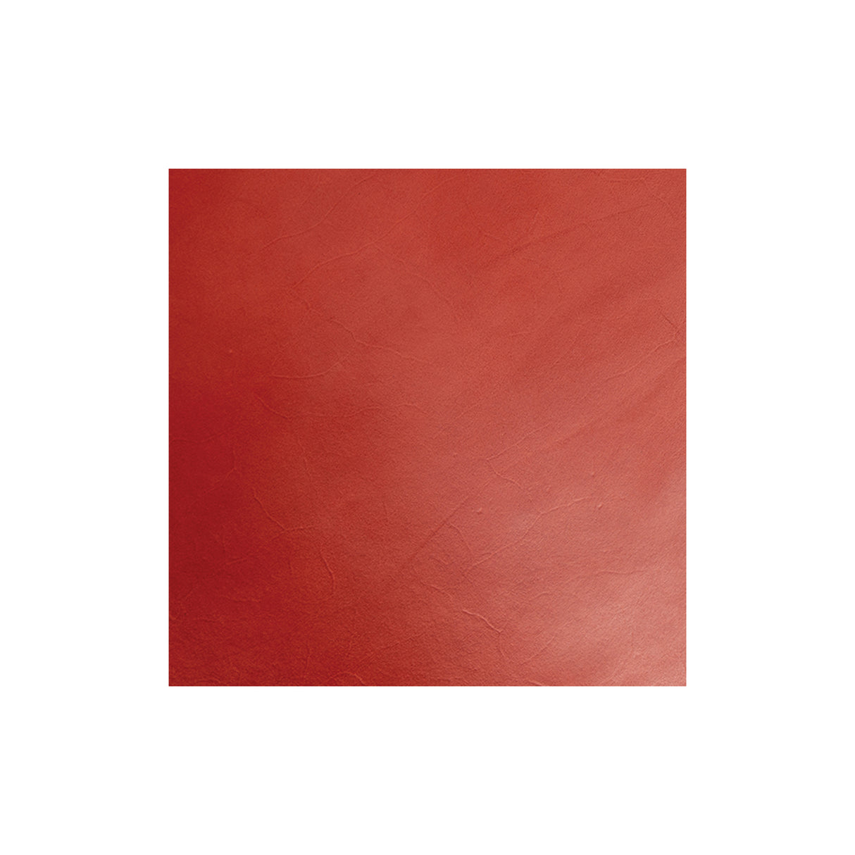 Sample, Sao Paulo Double Shoulders, 3 to 4 oz.