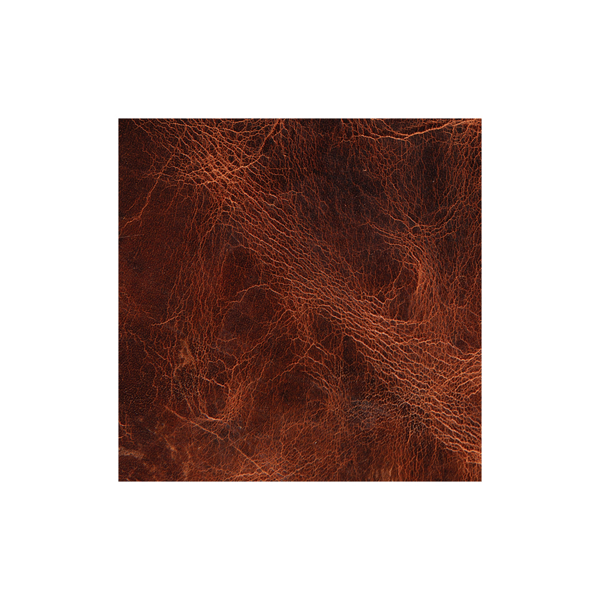 Sample, Water Buffalo Leather, Single Bend