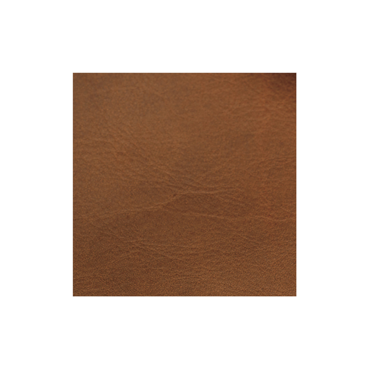 Sample, Elkrun Chap Leather, 3-4 oz.
