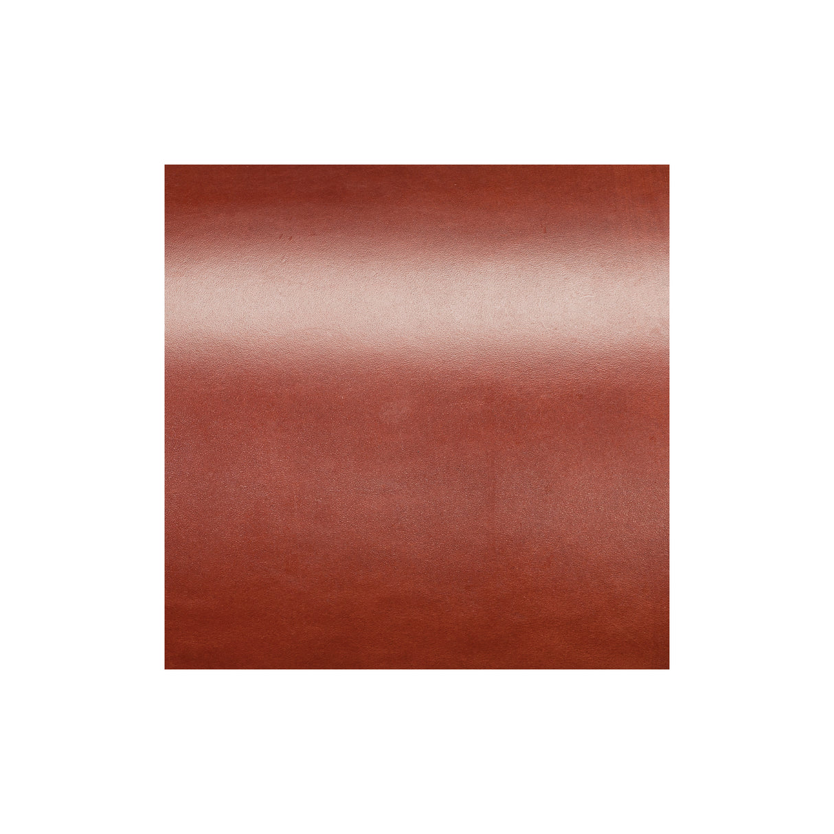 Sample, Hermann Oak® English Bridle Leather, 10 to 12 oz.
