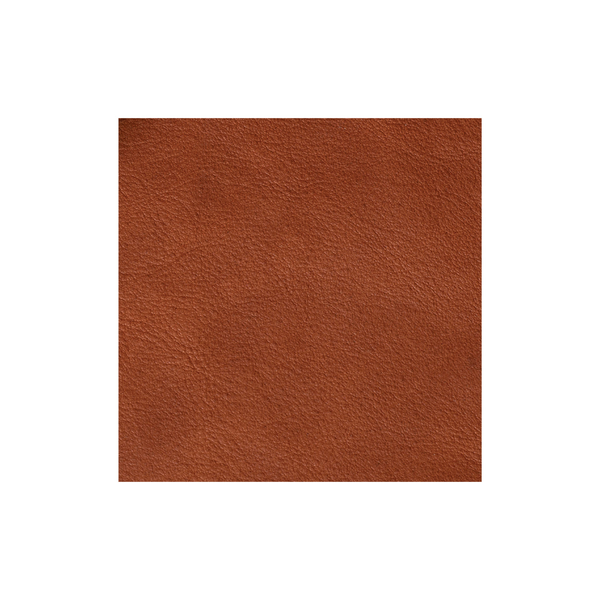 Sample, Hermann Oak® Heritage 1881 Top Grain Leather, 4 to 5 oz.