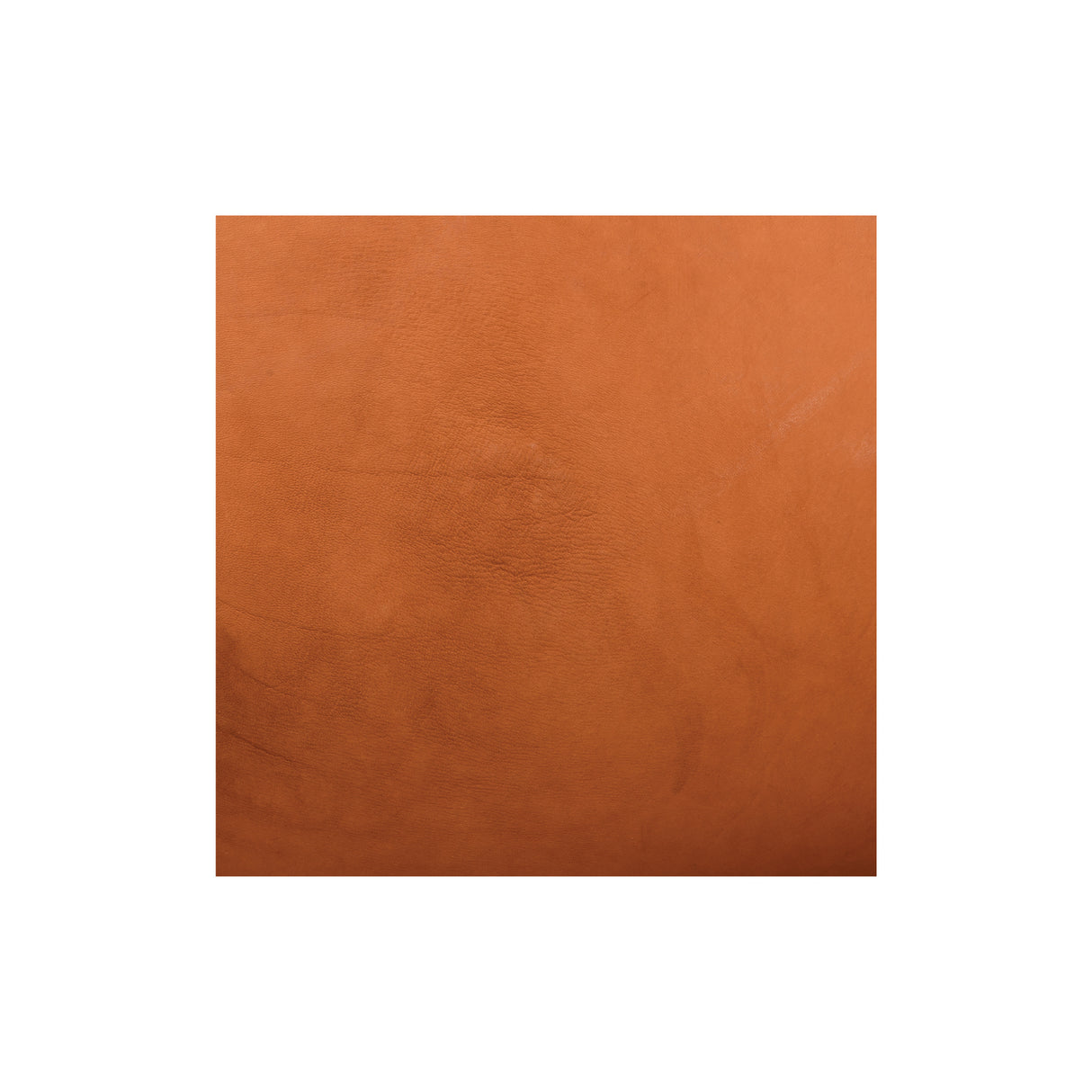 Sample, Hermann Oak® Saddle Skirting Leather
