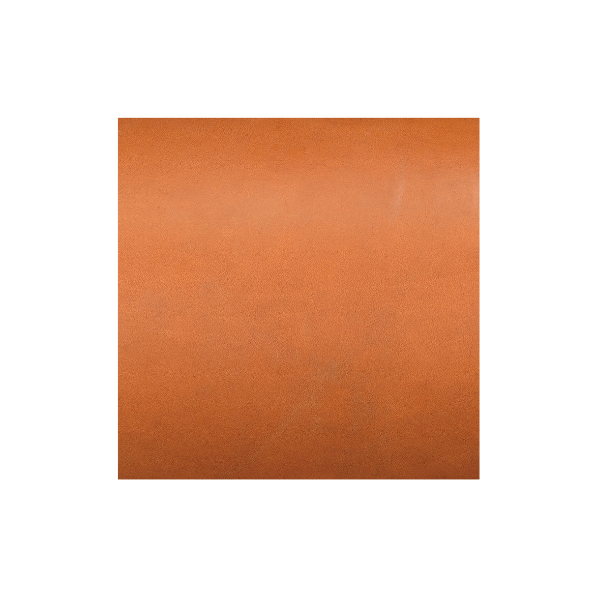 Sample, Hermann Oak® Bridle Leather, Sides