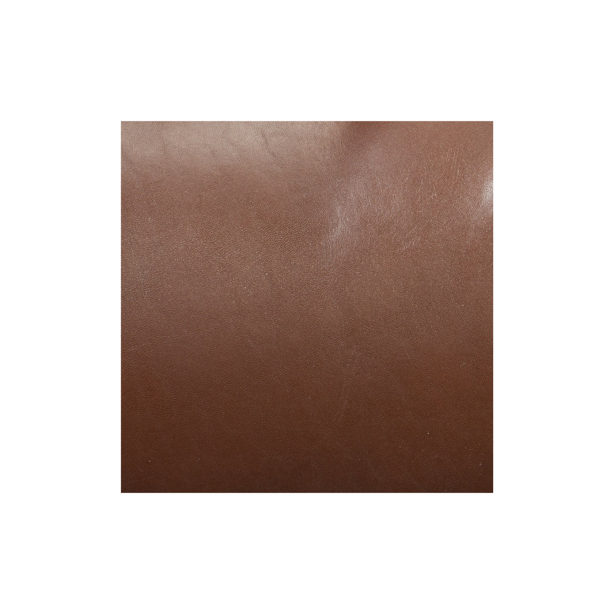 Sample, Branded Finished Double Backs