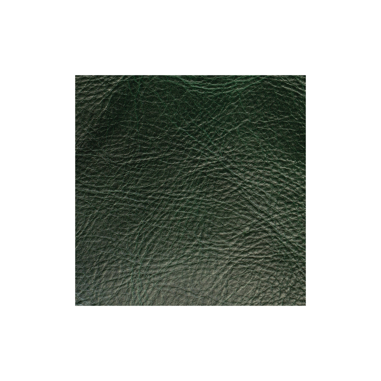 Sample, Western Crunch Water Buffalo Leather, 4-5 oz.