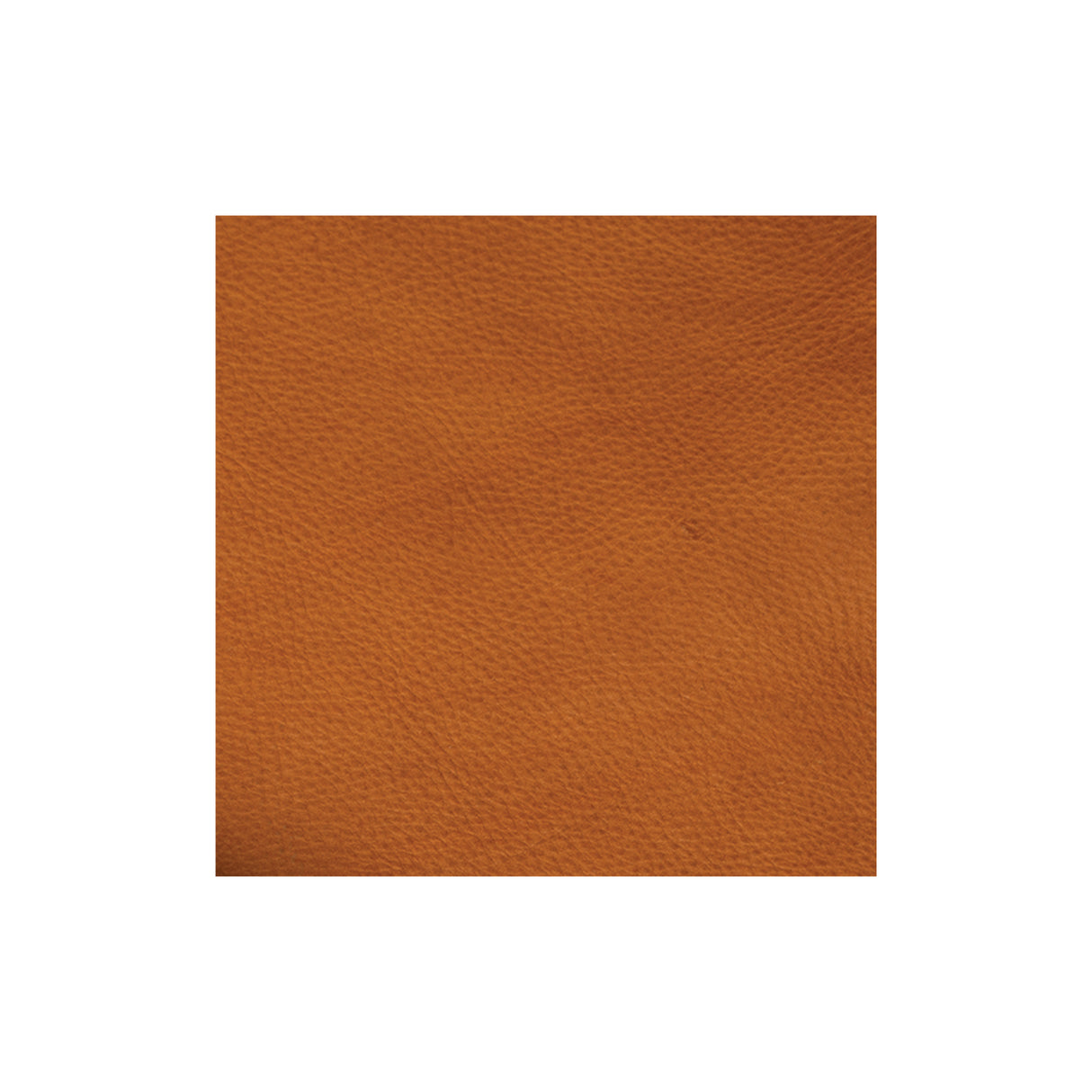 Sample, Italian Double Shoulders, 4 to 5 oz.