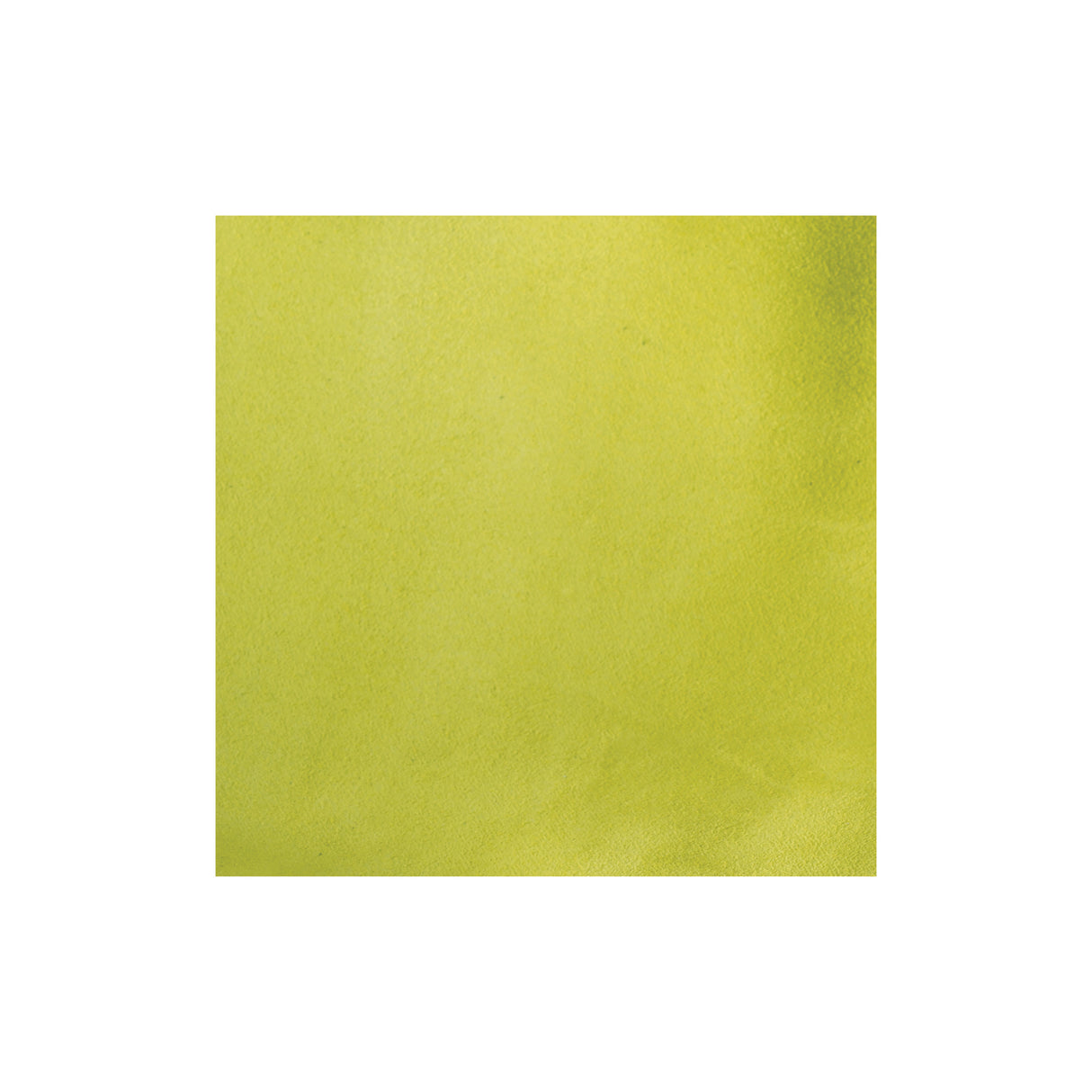 Sample, Cowhide Suede Leather