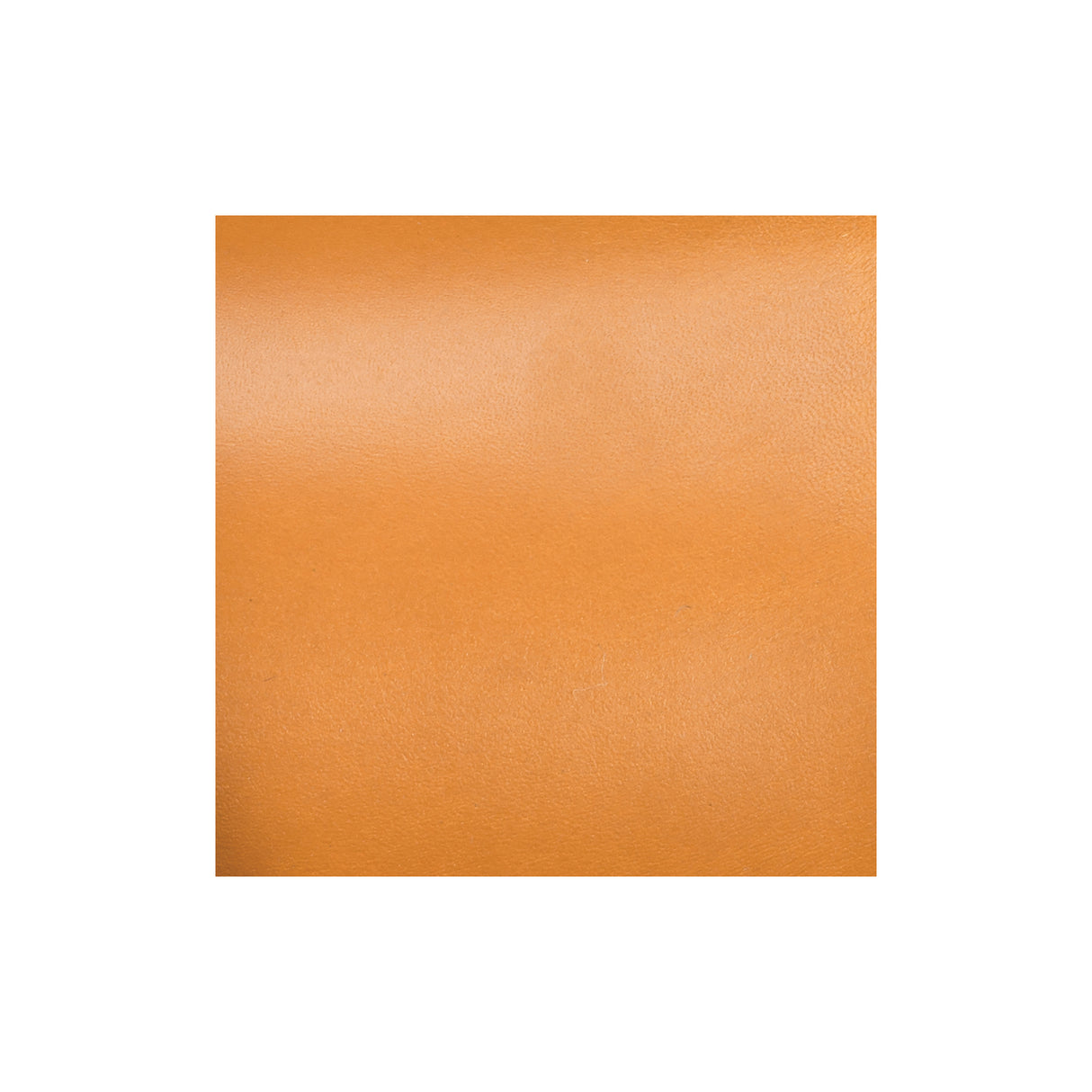 Sample, Branded Finished Double Backs