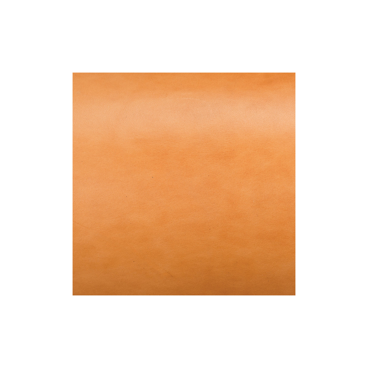 Sample, Hermann Oak® English Bridle Leather, 10 to 12 oz.