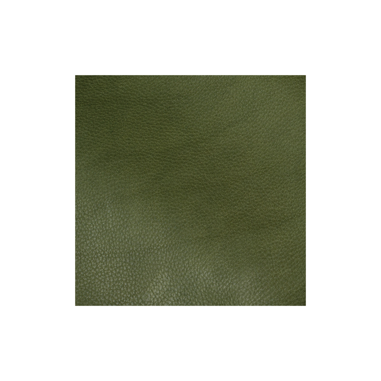 Sample, Italian Double Shoulders, 4 to 5 oz.