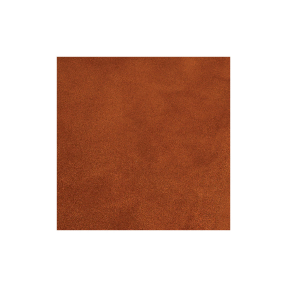 Sample, Cowhide Suede Leather