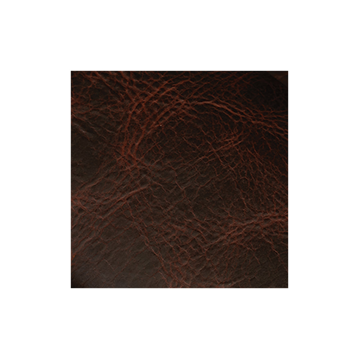 Sample, American Bison Leather, Side