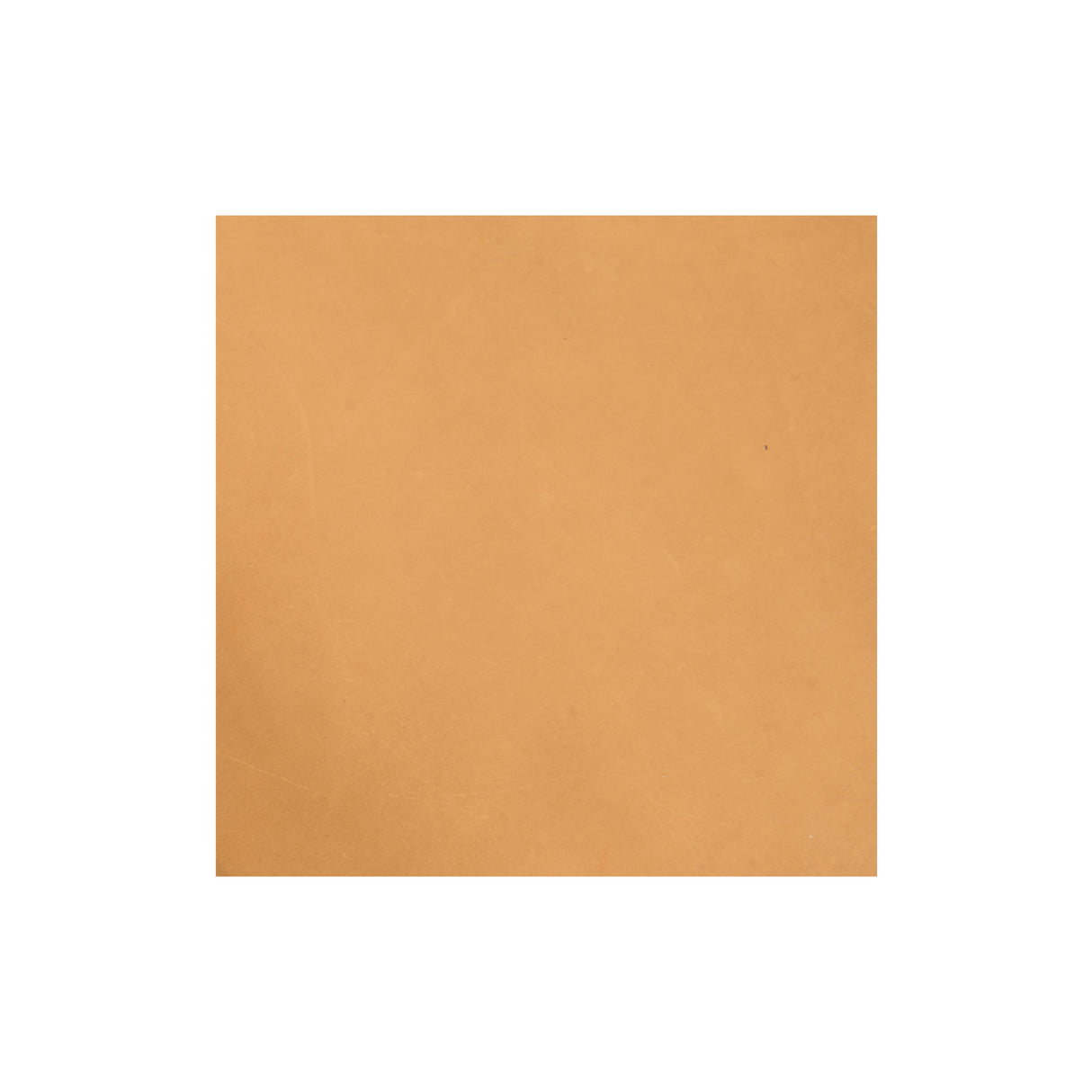 Sample, Pioneer Chrome Oil Tanned Top Grain Leather Side, 6-7 oz.