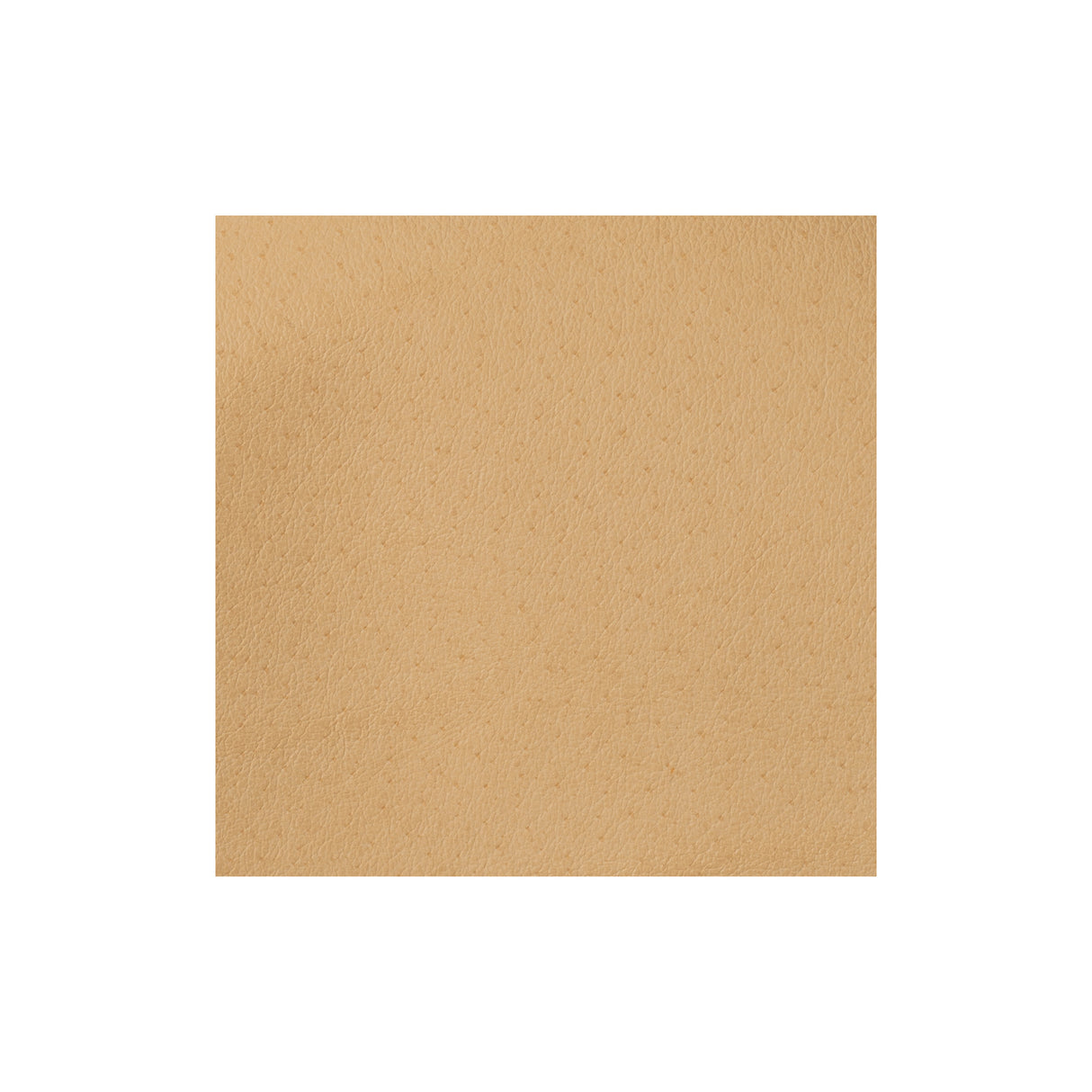 Sample, Pigskin Lining Hide, 1 to 2 oz.