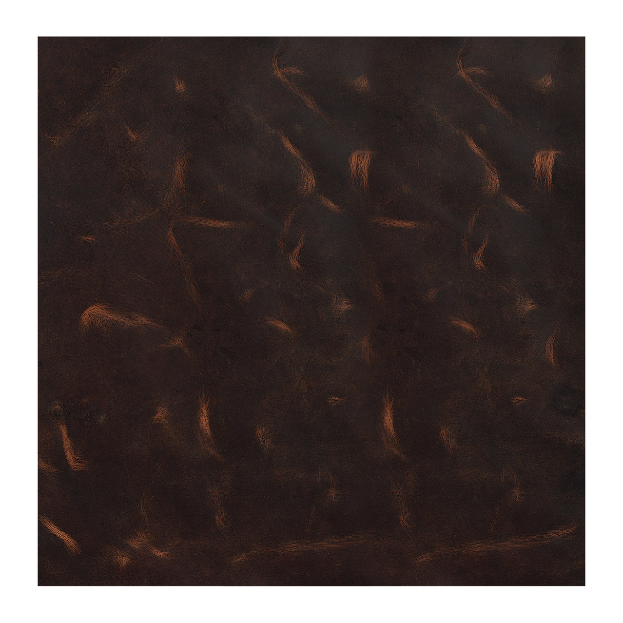 Water Buffalo Leather Panels