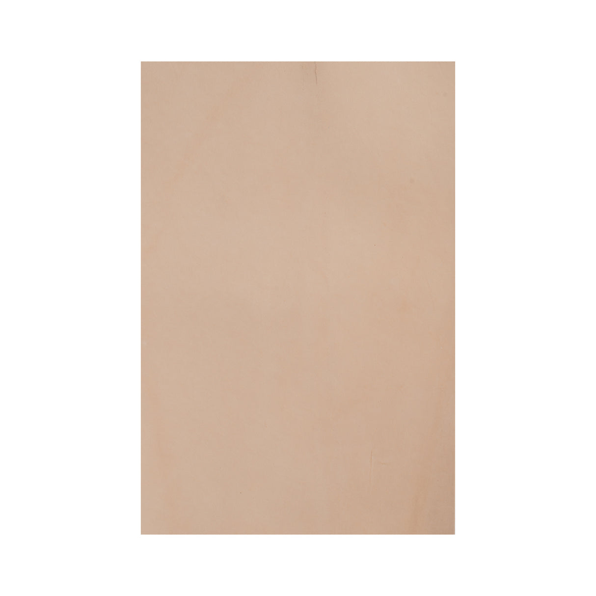Veg Tanned Leather Panel
