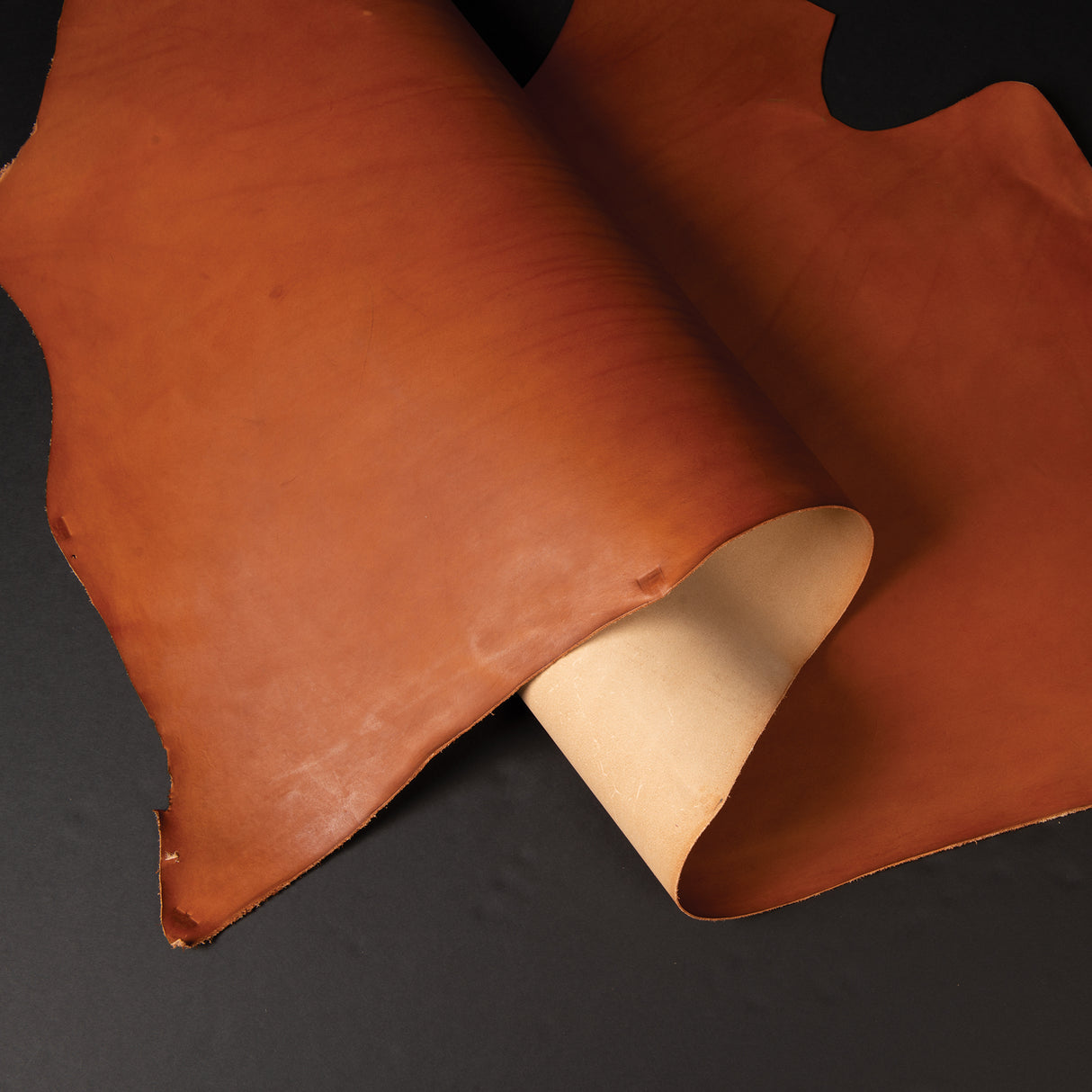 Sao Paulo Single and Double Shoulders, 3-4 oz.