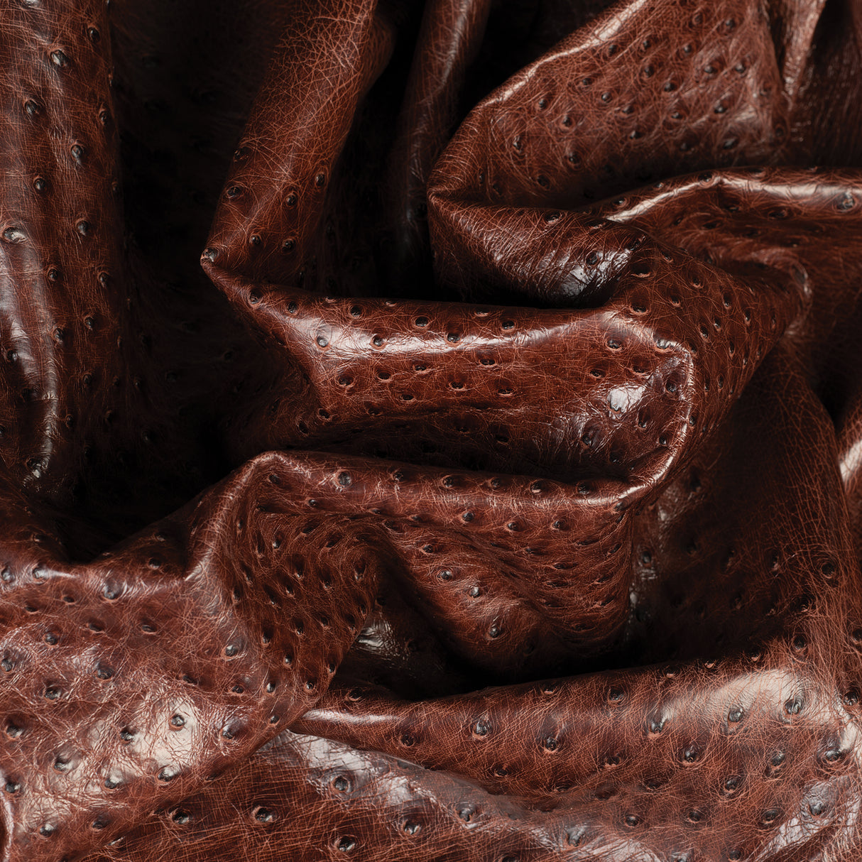 Ostrich Leather