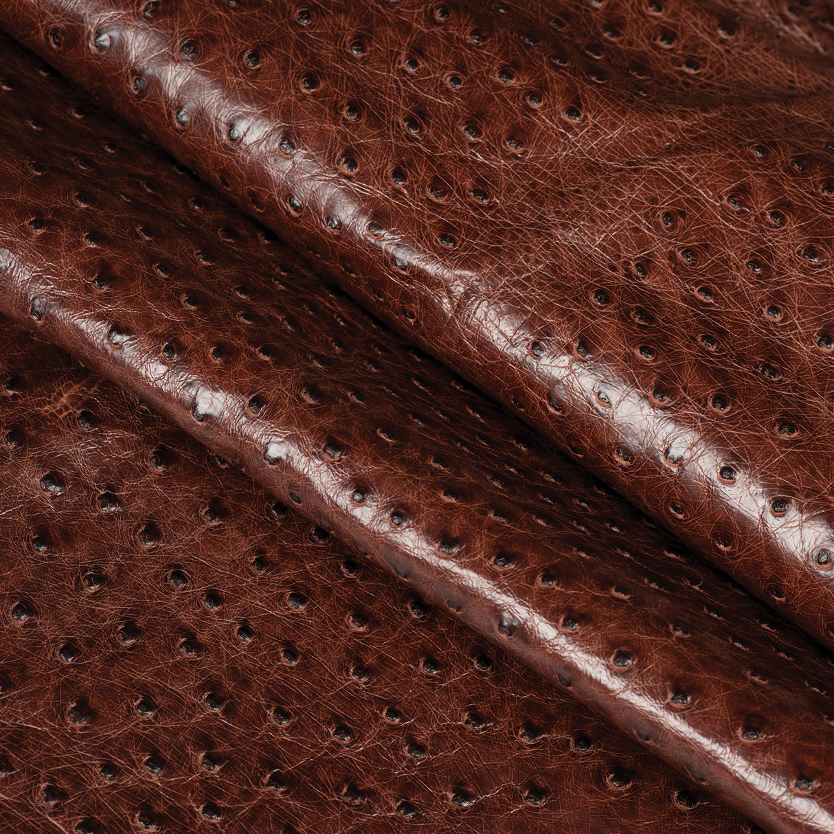 Ostrich Leather