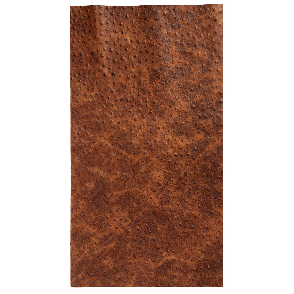 Embossed Leather, 2-3 oz., Ostrich Cognac