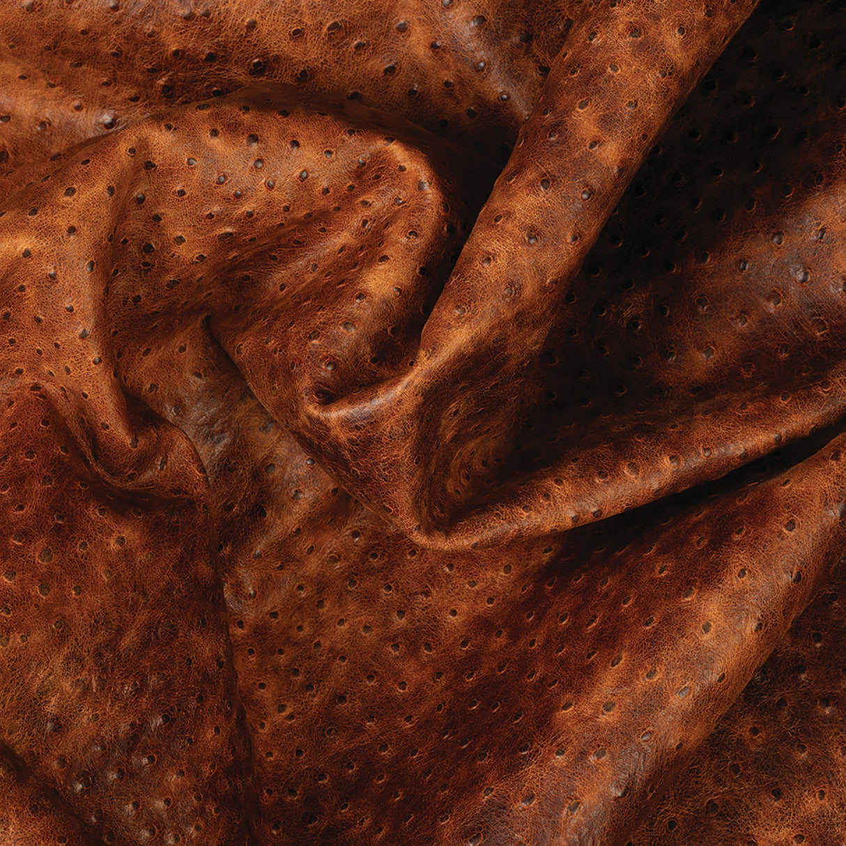 Sample, Embossed Leather, 2-3 oz., Ostrich Brown