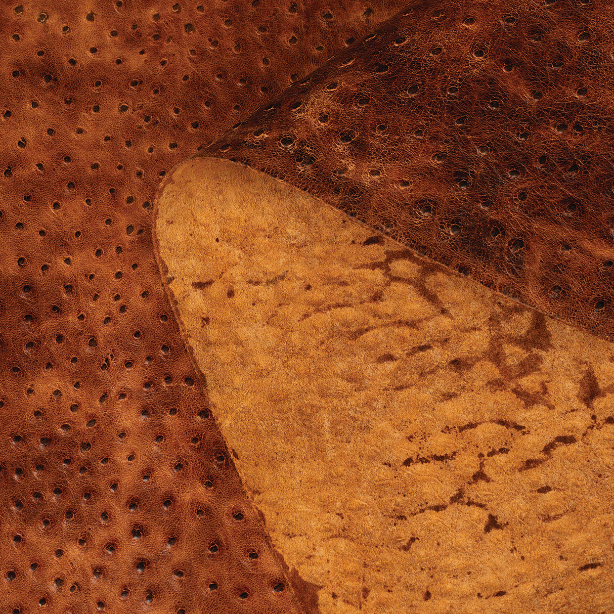 Embossed Leather, 2-3 oz., Ostrich Cognac