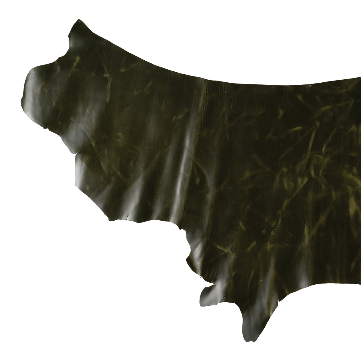 Jasper Pull Up Leather, Kelly Green, half side, front