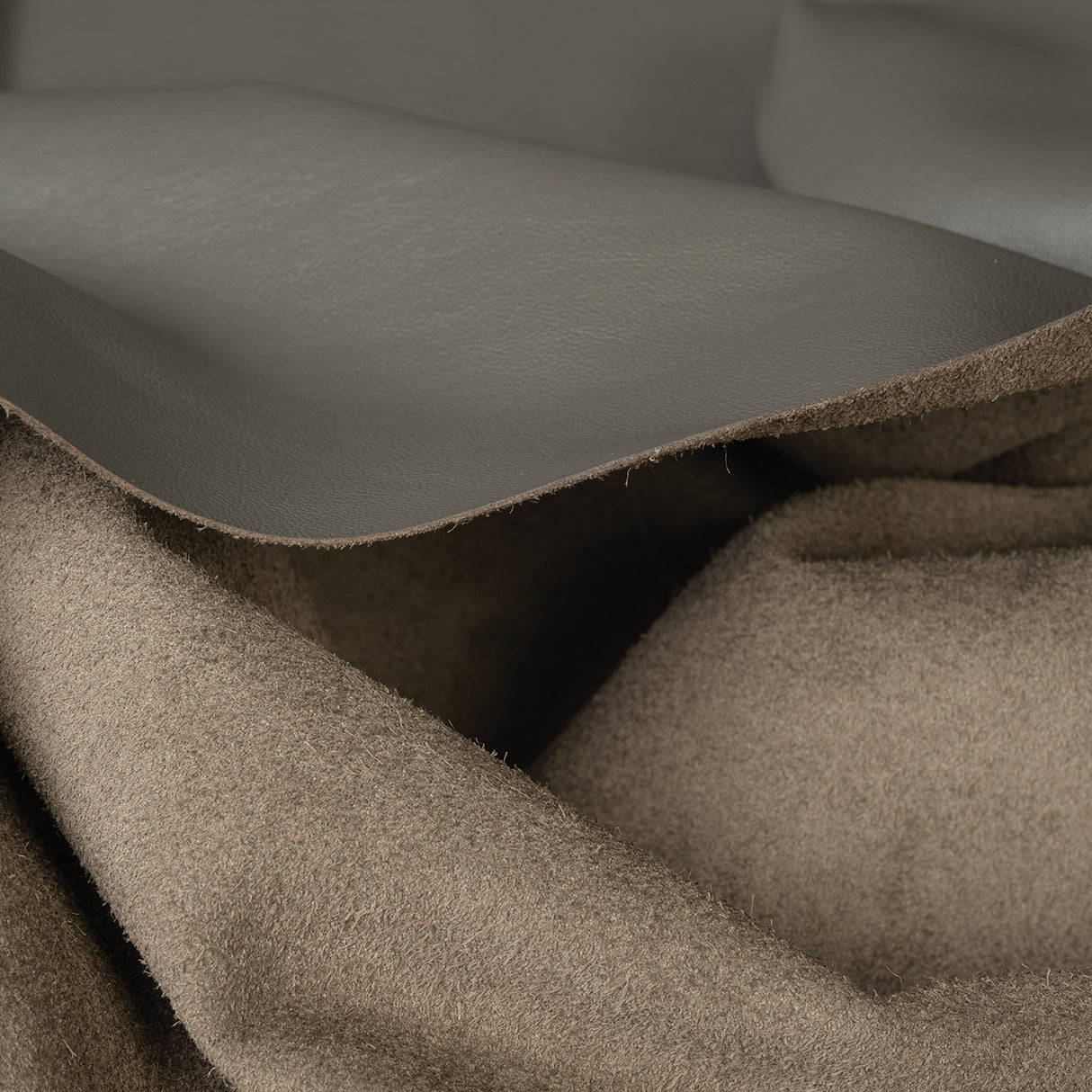 Modern Leather for Upholstery, Dark Ash, Back