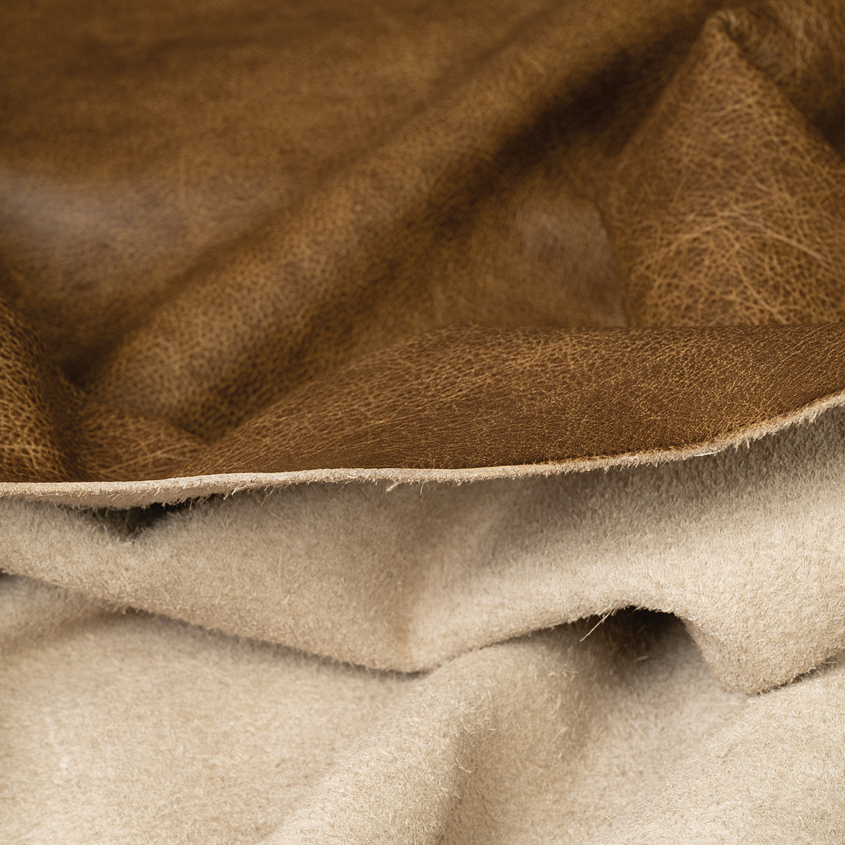 Distressed Leather for Upholstery, Spice, Back