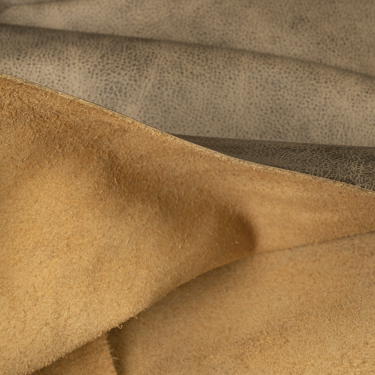 Buffalo Leather for Upholstery, Sand, Back