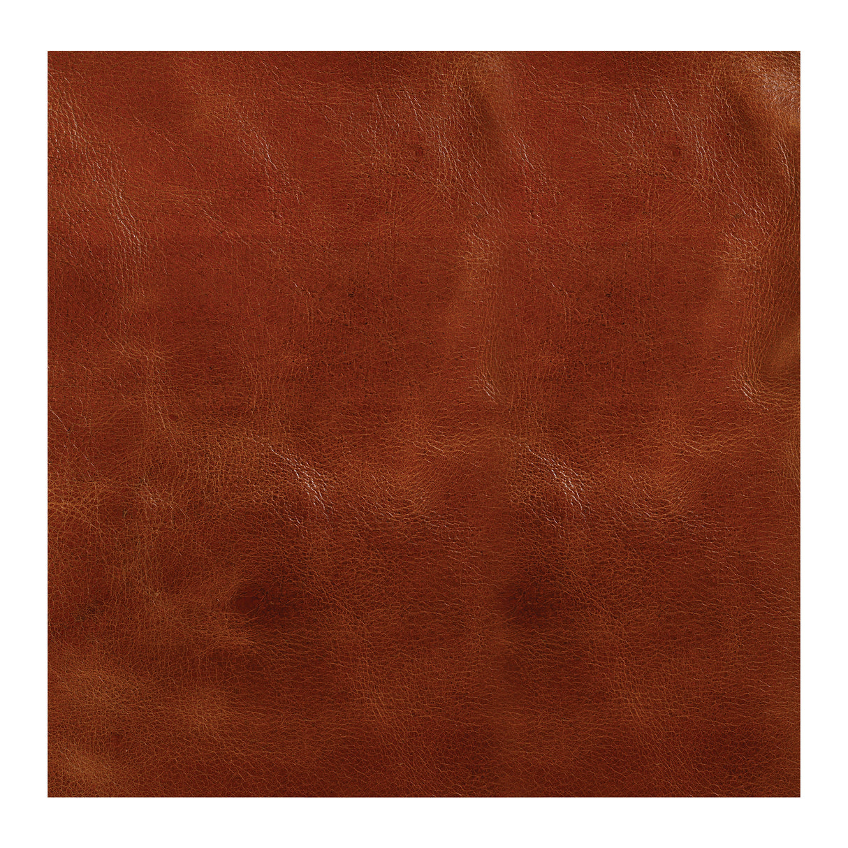 Western Crunch Water Buffalo Leather Panel