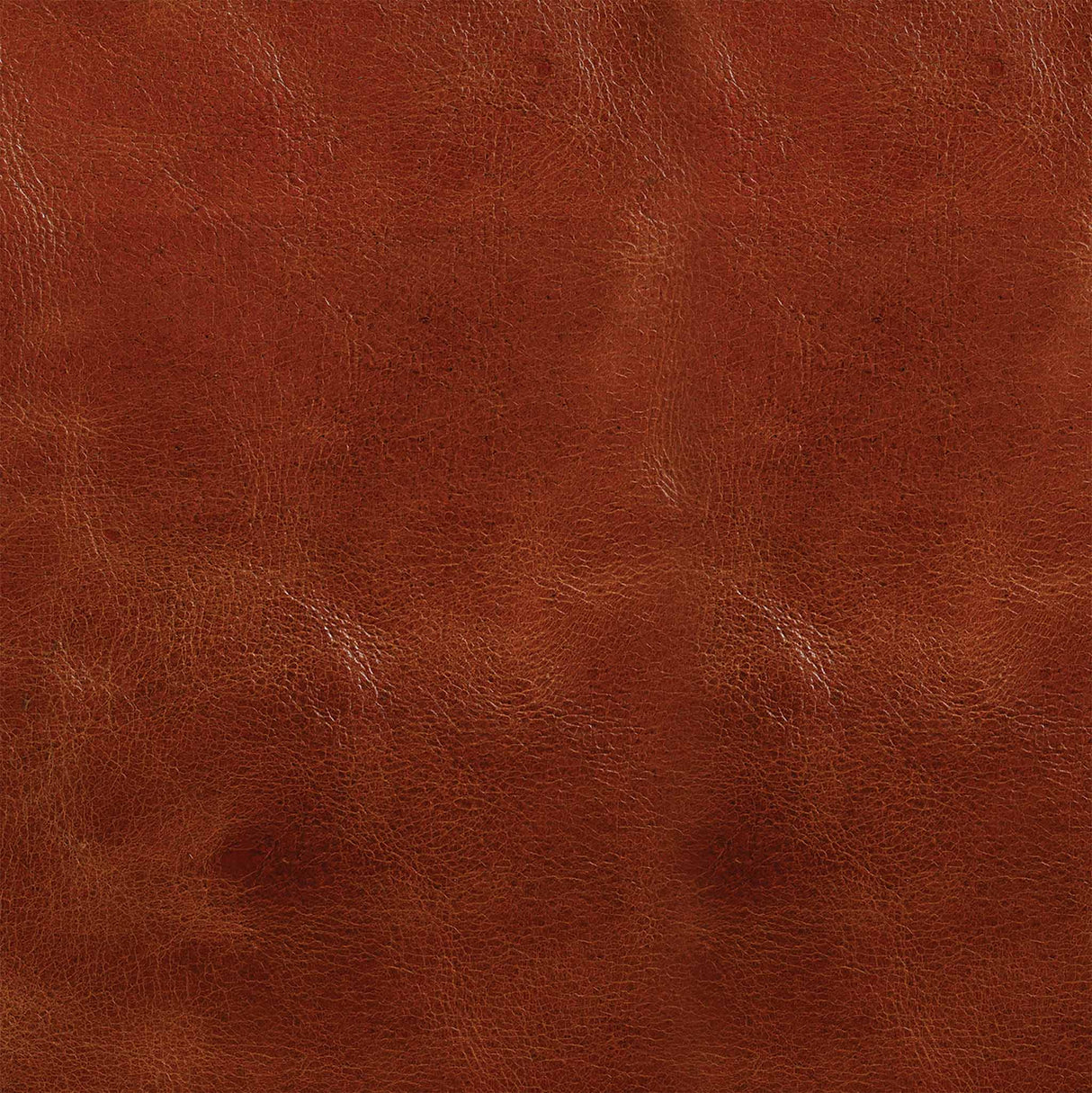 Western Crunch Water Buffalo Leather Panel