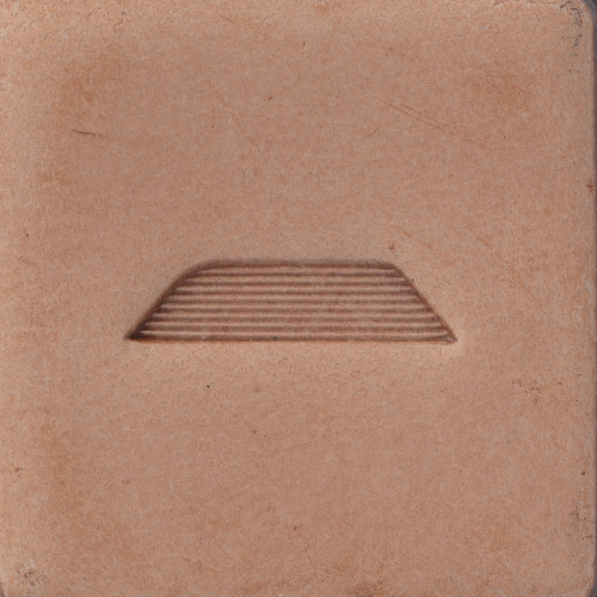 Leaf Liner Stamping Tool