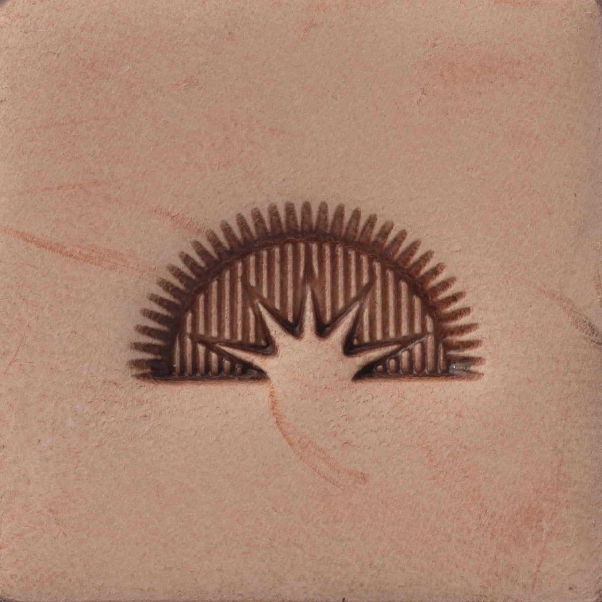 Sunrise Border Stamping Tool, D2160