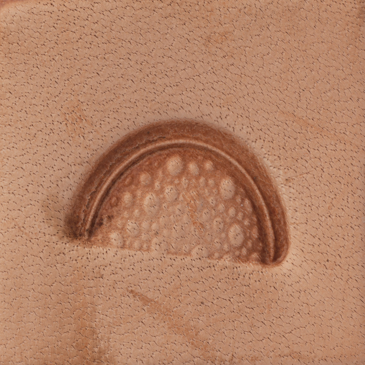 Pebble Border Stamping Tool, D2162