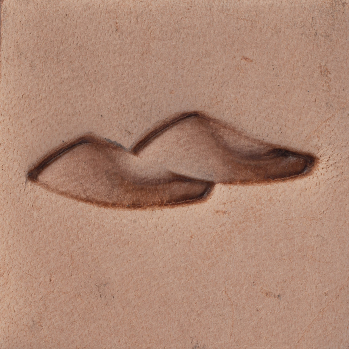 Woven Border Stamping Tool, D2164