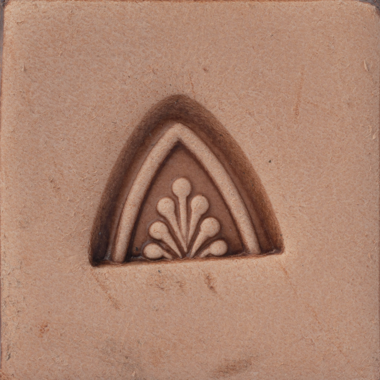 Wishbone Border Stamping Tool, D2166