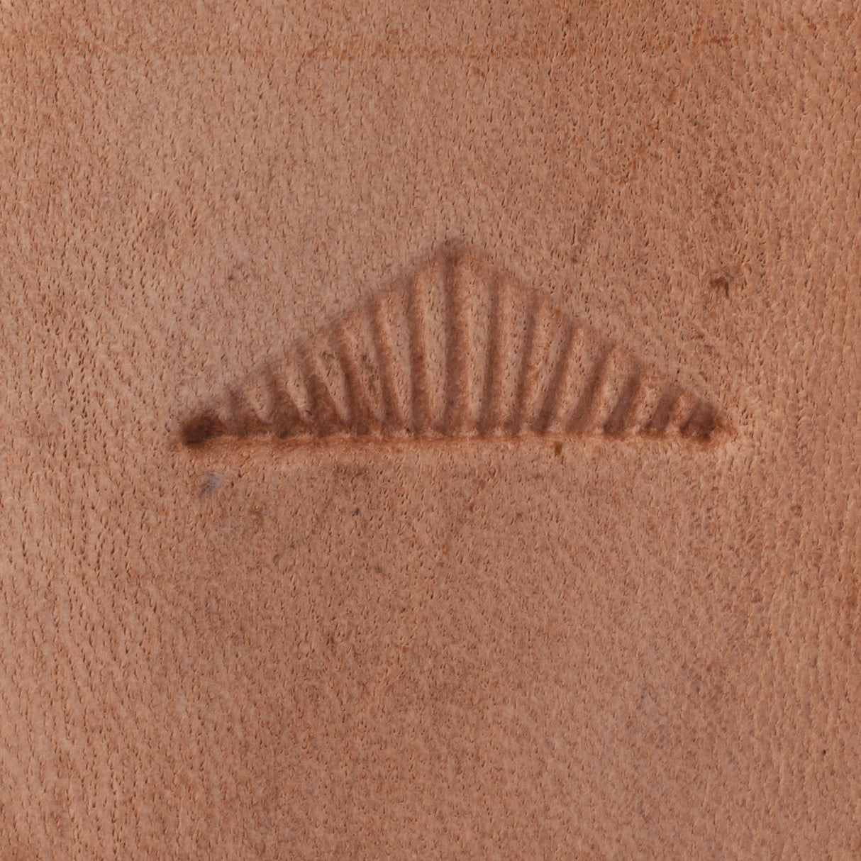 Meander Border Stamping Tool, D2197