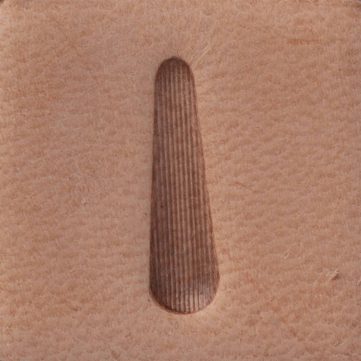 Thumbprint Vertical Stamping Tool