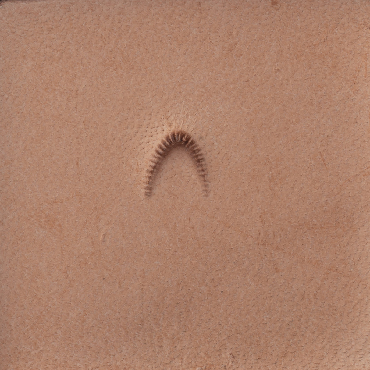 Mulefoot Stamping Tool