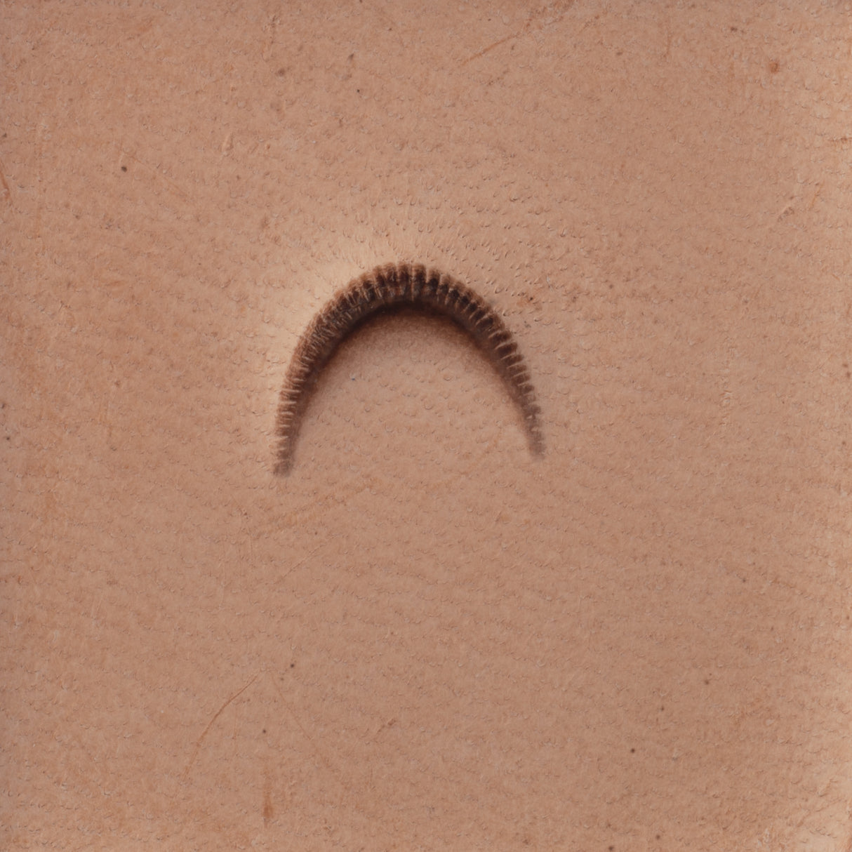 Mulefoot Stamping Tool